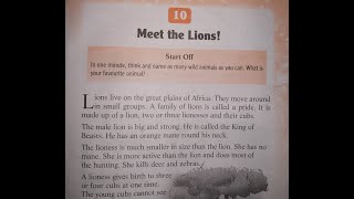 Meet the Lions! (Class 1)Snowflakes....