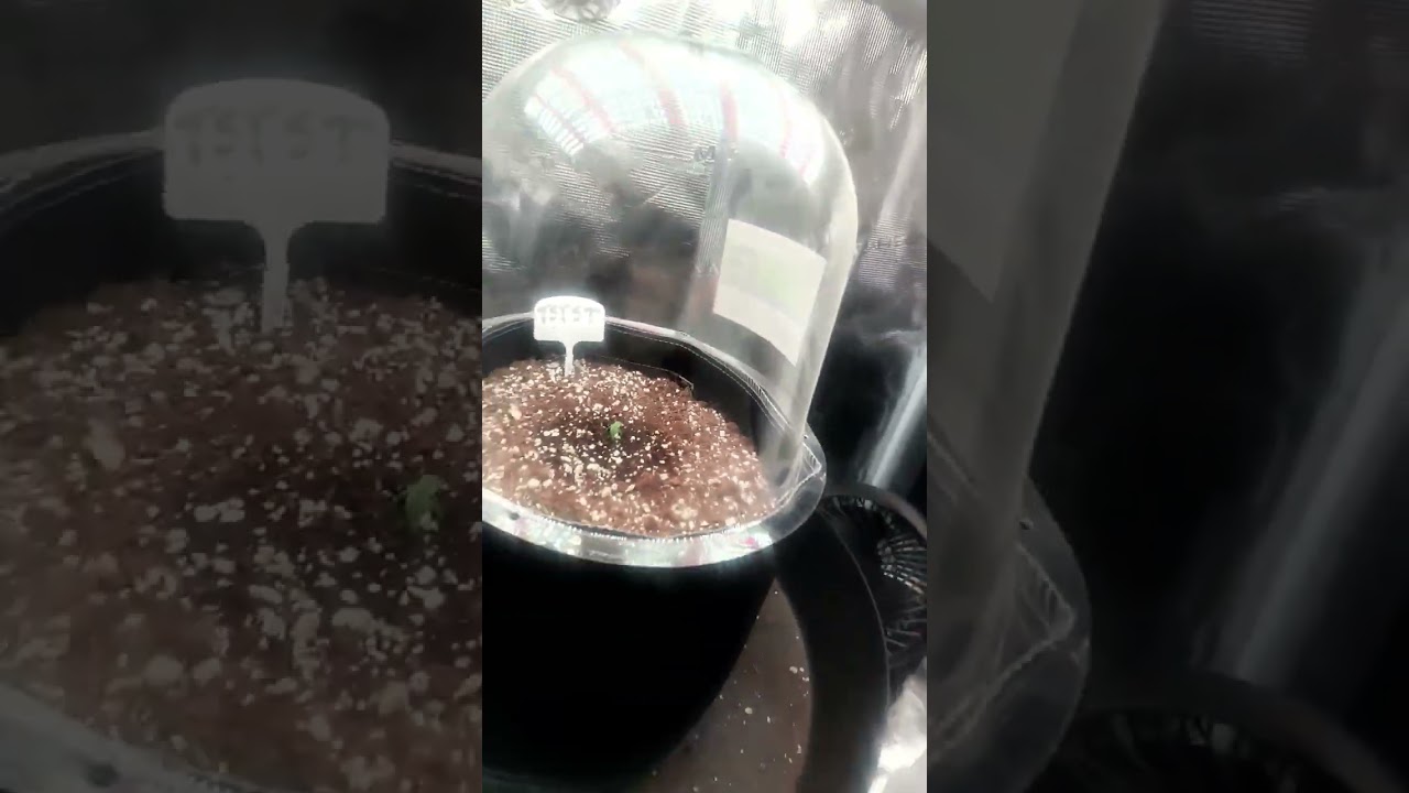 2025 Mars Hydro iFresh series in line fan put to the test