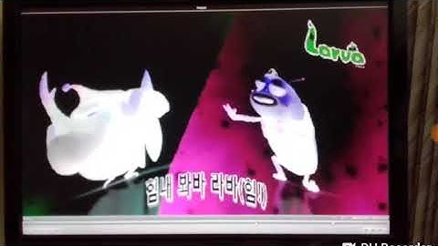 Larva Intro AVS Shock