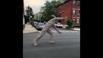 Houdini Vellum Grains Cartwheel