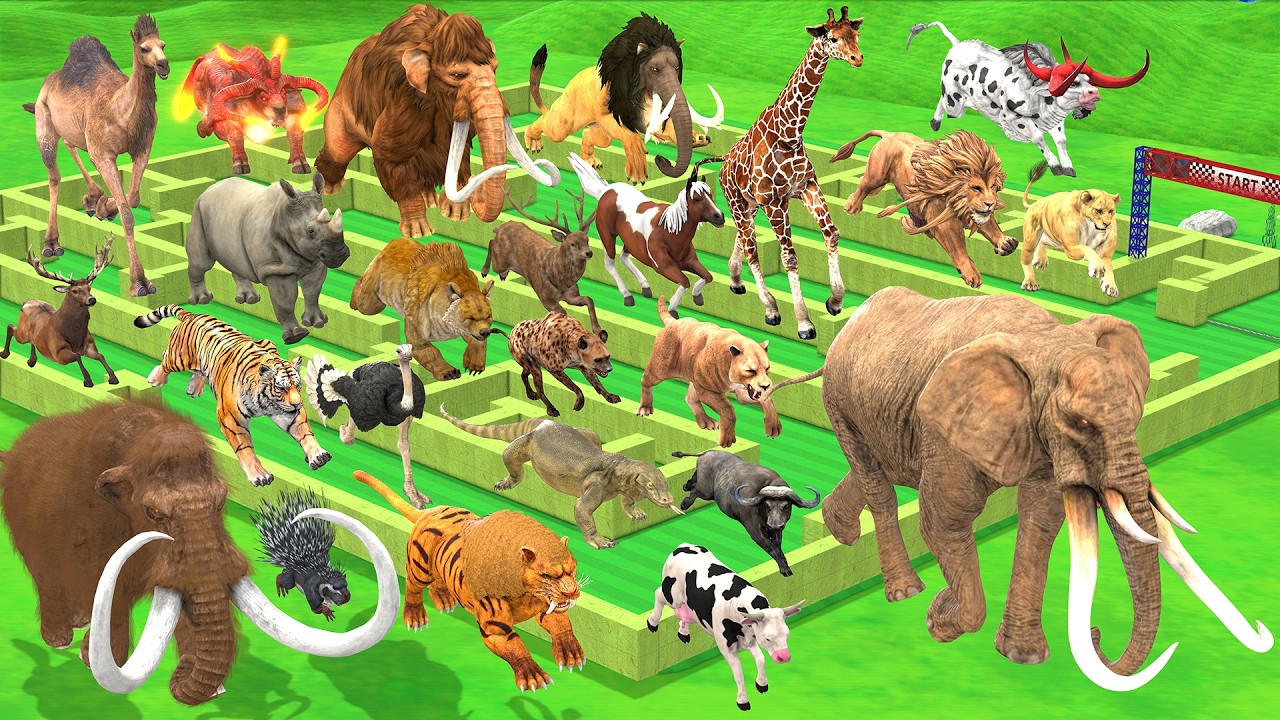 Epic Maze Madness Race 24 Wild Animals: Which is the Fastest Animal? Animal Revolt Battle Simulator