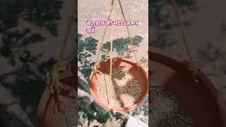 Animal and Birds help janwar, wildlife, care for animal, #video , Discovery, #reels, #like, #comment