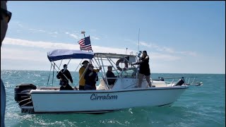 Georgia Aquarium Tags Manta Rays off the Coast of Florida