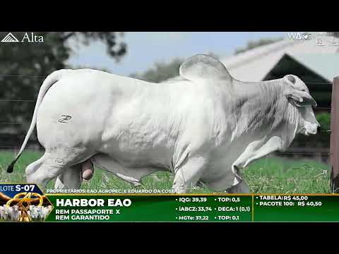 LOTE S07   HARBOR FIV DA EAO   EAO C 4853