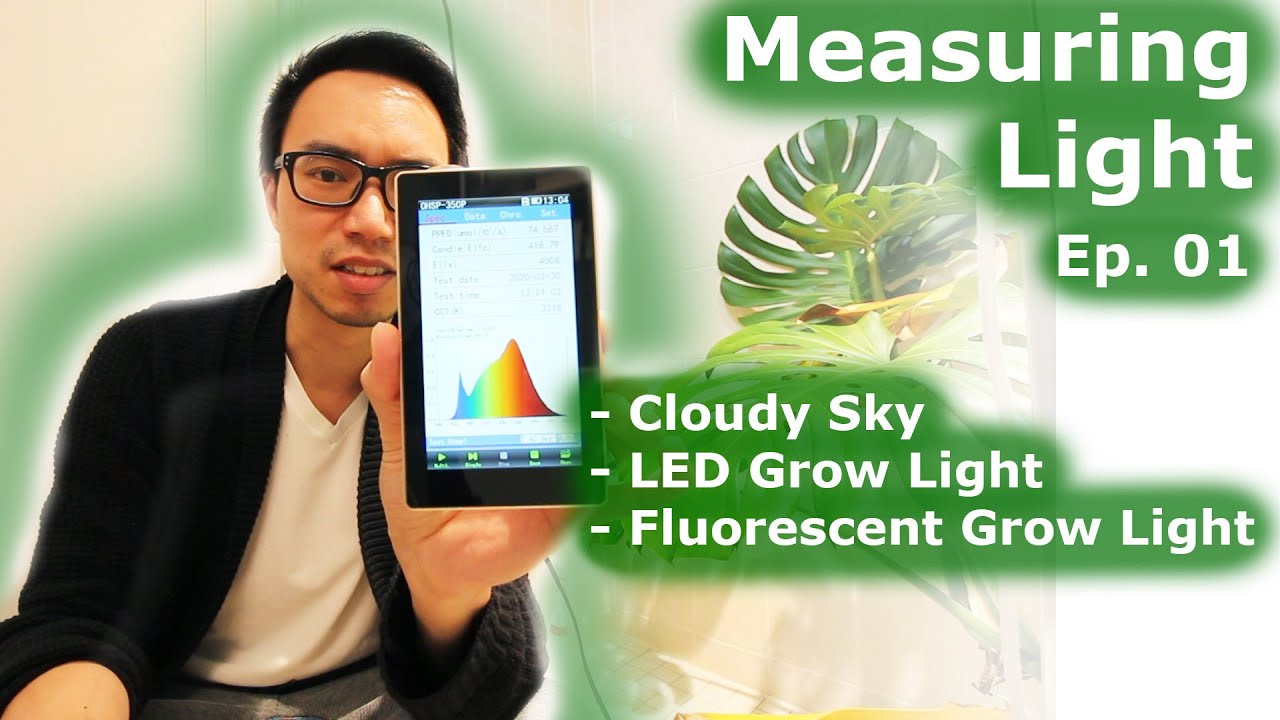 Measuring Light | Ep 01: Cloudy Day, LED vs Fluorescent ...
