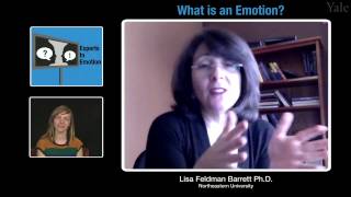 Experts in Emotion 1.2  Lisa Feldman Barrett on What is an Emotion