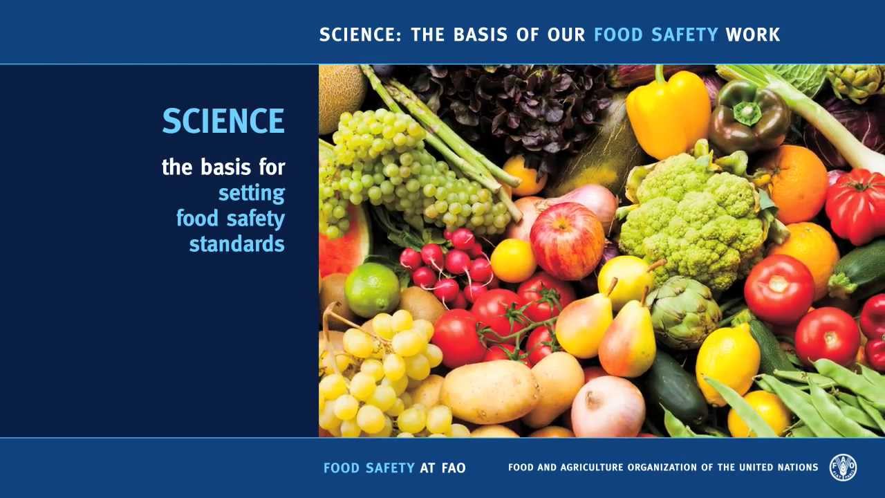 argumentative essay on food safety argumentative essay on food safety