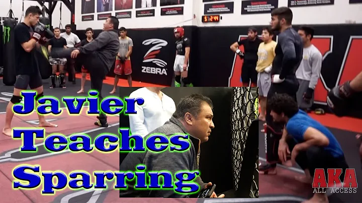 Javier Mndez January 2020 Pro Team Sparring, Teach...