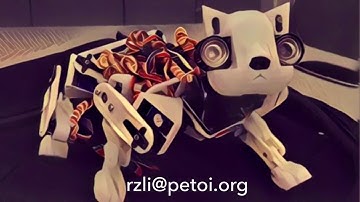 From Idea to Reality: Watch My Programmable and AI-Enhanced Robotic Cat Come to Life! | PetoiCamp