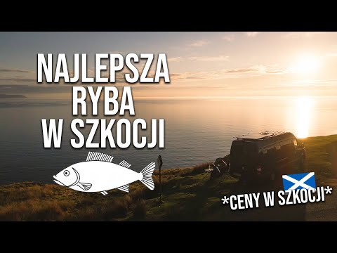 CENY w Szkocji | Najlepsza ryba ?  ??????? Vanlife Polska