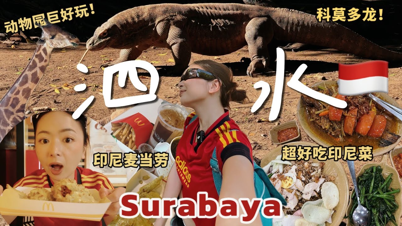 印尼 | 爬完火山去泗水逛吃！泗水動物園超好玩，這家印尼菜超好吃，開箱印尼麥當勞