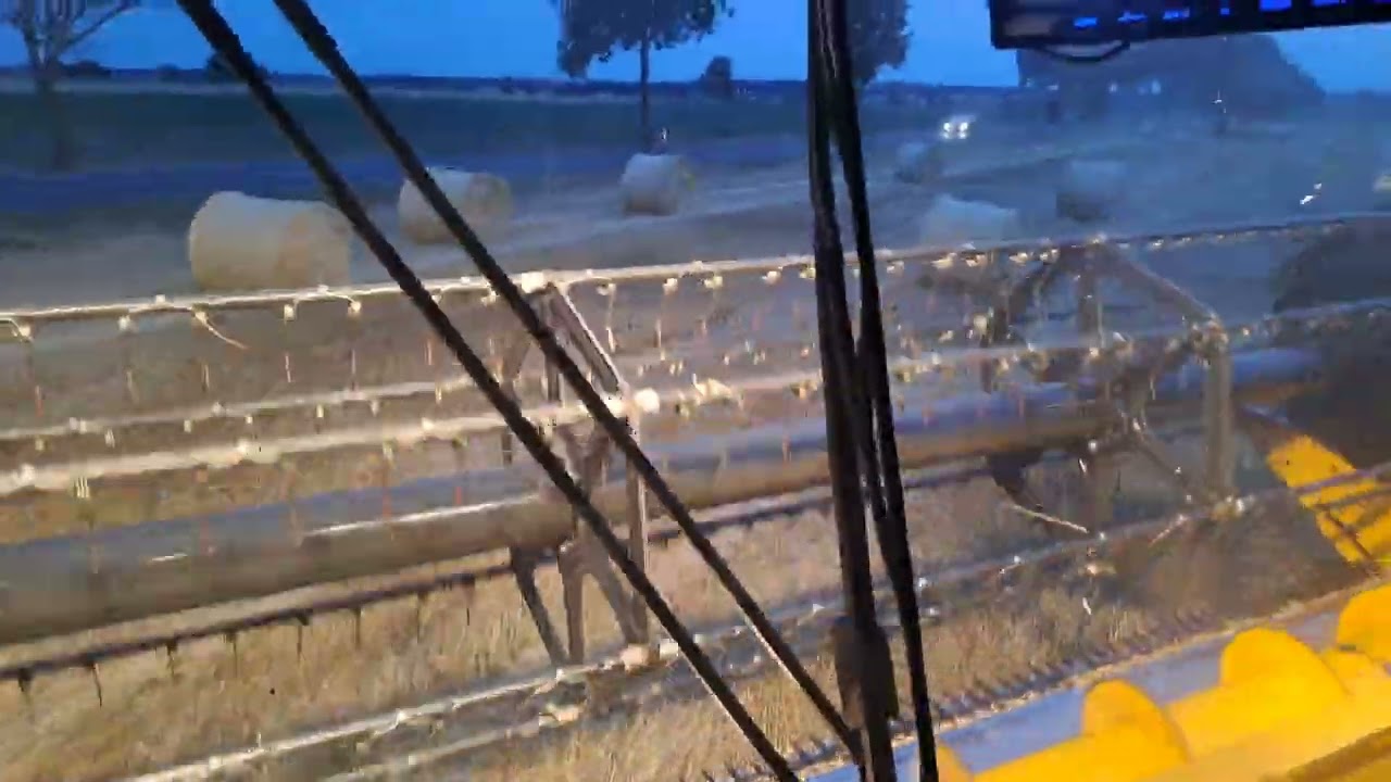 Koszenie żyta 10 lipiec 2024 11.5 wilgotność