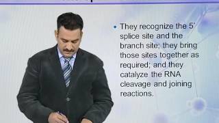 BIO502_Topic071