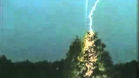 RAIO CAI NA ARVORE 1.wmv