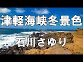 【大きな歌詞付き】津軽海峡冬景色【レク】