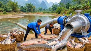 86 Days Harvesting Fish Catching Fish in an Old Pond and Taking Them to the Market to Sell