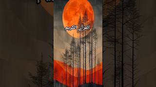Best islamic short video 🥀🍁 Quran #trending #youtubeshorts #quran #love #islamic #shorts #viral.....