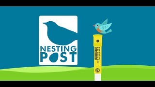 What is Nesting Post