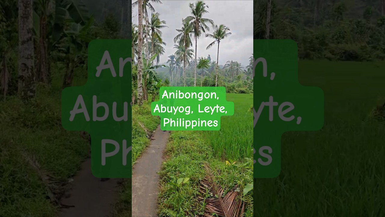 Ano’t kaibahan it baka ngan carabao?