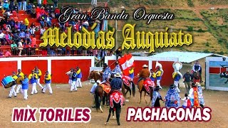 Video thumbnail of "♪♫ GRAN BANDA "MELODÍAS AUQUIATO" ♪♫ ►:: TORIL PRIMICIA (EN VIVO) ::◄ PACHACONAS 2017"