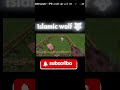 islamic wolf #minecraft #funny