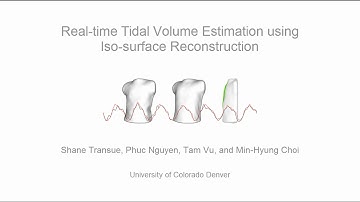 Real-time Tidal Volume Estimation using Iso-surface Reconstruction