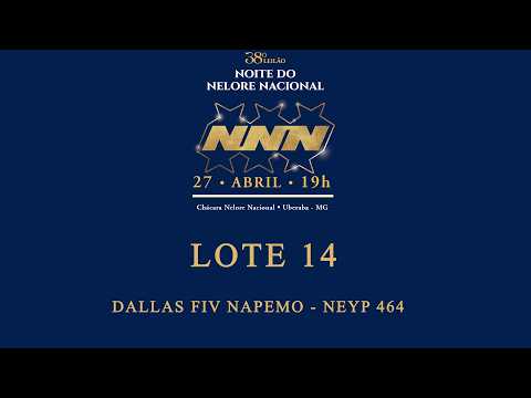 LOTE 14   DALLAS FIV NAPEMO   NEYP 464