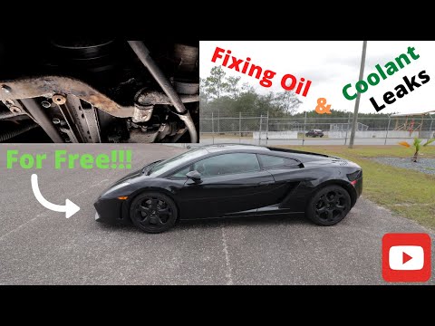 Lamborghini Gallardo Common oil and coolant leak Fix For Free!!!