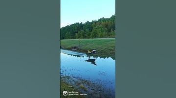 Watery High Alpha #rcplane #shorts #aviation