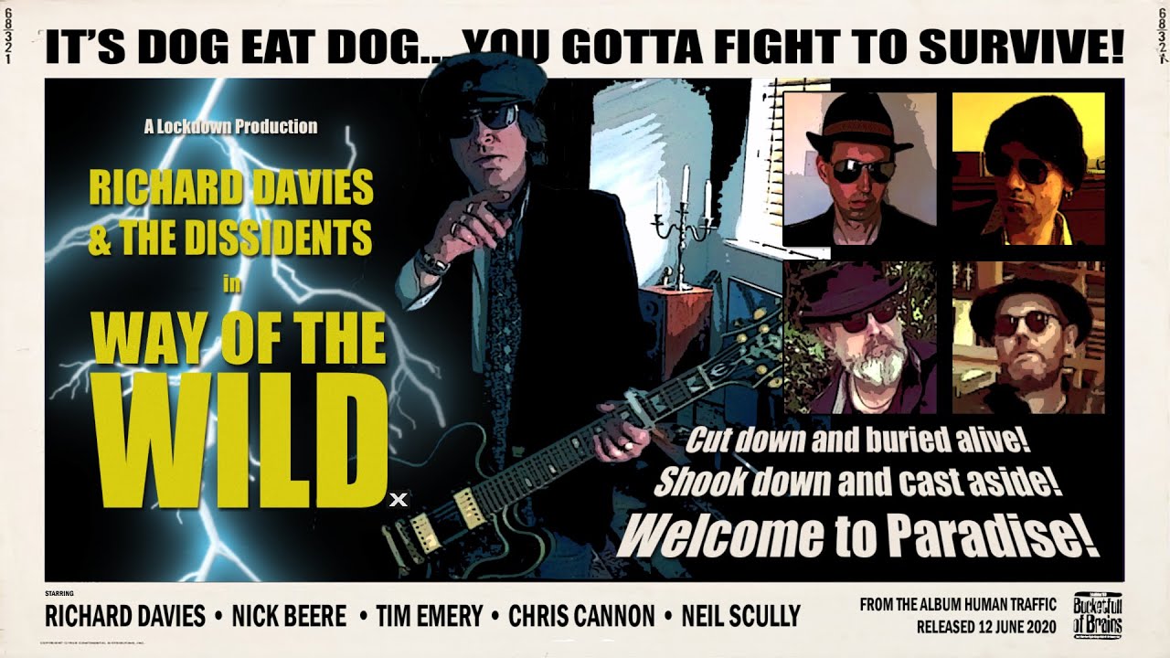 Way of the Wild - Richard Davies and the Dissidents