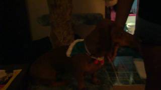 SDC10432.MP4