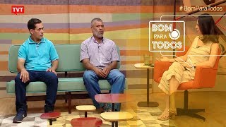 Qual a importância das abelhas?