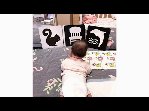 Montessori Baby Visual Stimulation Card Toys Black White Flash Cards High Contrast Visual