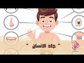 جلد الانسان تعرف على أهمية الجلد و مكوناته و تجربة بصمة الإصبع 