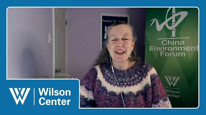 China’s Role in Indonesia’s Clean Energy Transition