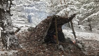 Building Winter Bushcraft Survival Shelter /Shelter Construction in Nature / Caught in a snowstorm