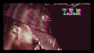 TNM- fake friends [official audio) (zimhiphop)
