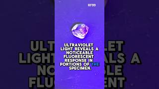 This small agate changes under UV light. #RockAndFossilFiles #agate