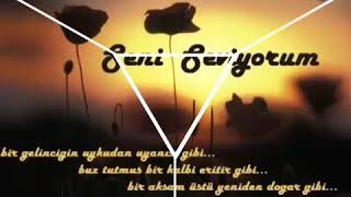 Seni Sevirəm