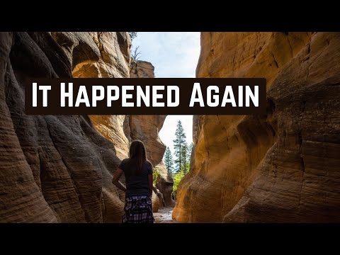 #6 BUFFALO GOLD STUCK ON A SLOT BET CHALLENGE - PALMS CASINO LAS VEGAS