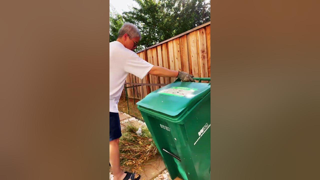 Time Lapse Pulling Weeds In the Backyard garbage timelapse YouTube