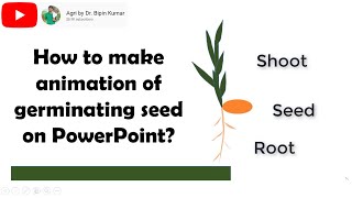How to make animation of seed germination on PowerPoint