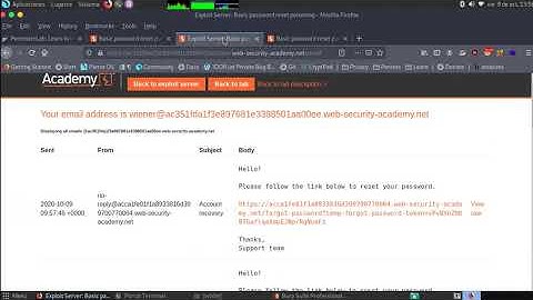Basic password reset poisoning