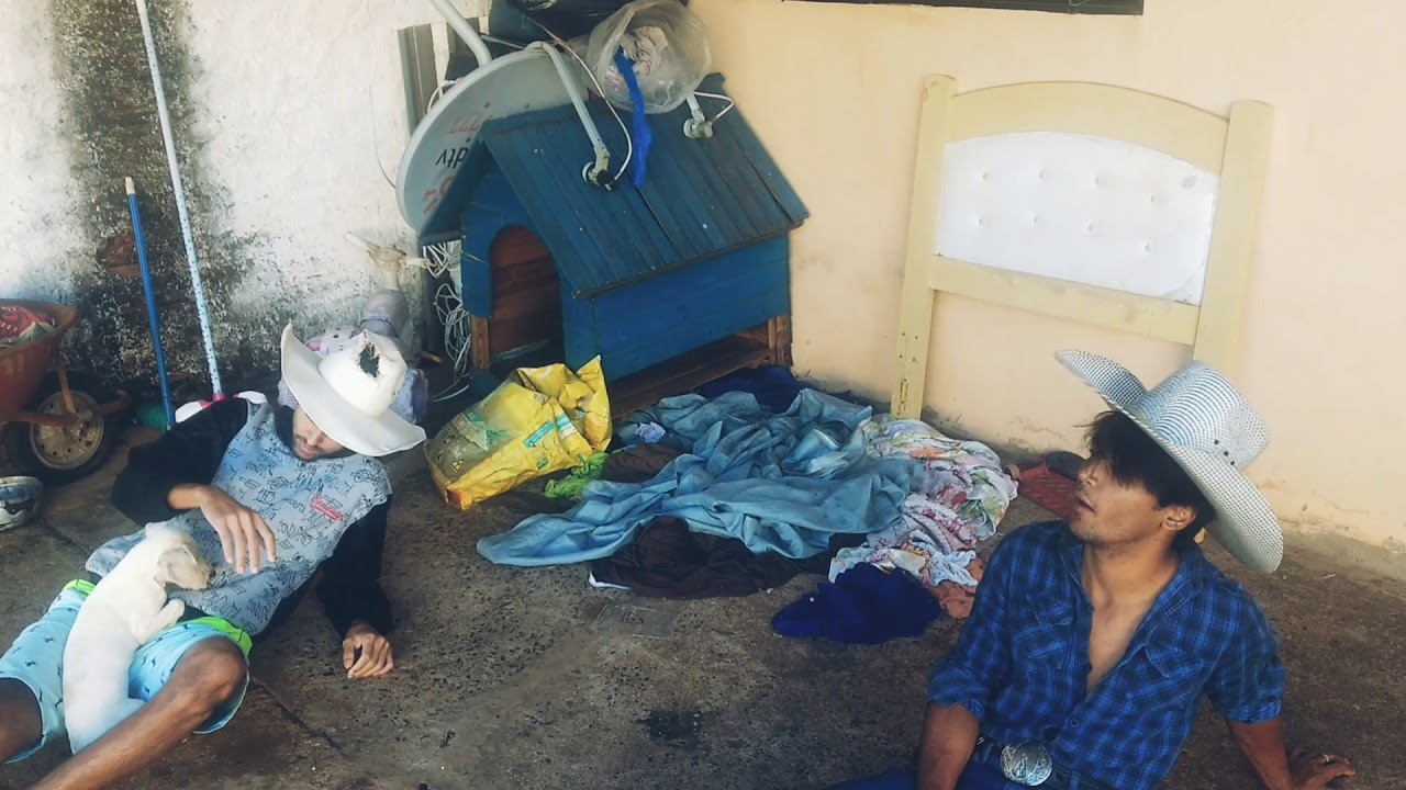 TIÃO E ZÉ MANÉ CHEGANDO DO BAR BÊBADO YouTube