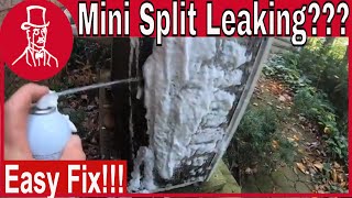 Mini Split Leaking Water