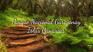 GARAJONAY_PARQUE NACIONAL// Isla la Gomera-España, paraíso para el ecoturismo.#garajonay #IslaGomera