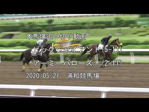 今日の本馬場追い切り動画　ビッグジャイアント、アーミーバローズ　2020/05/21　浦和競馬場
