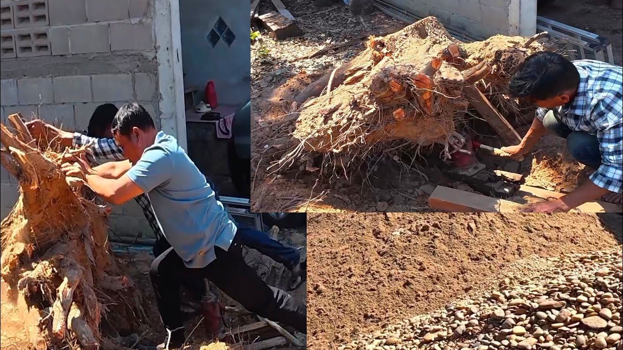 วันนี้อยู่บ้านเคลียพื้นที่ตั้งบ้านใหม่