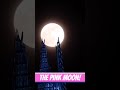 Just in case you missed the recent pink moon, here is a beautiful view of it.