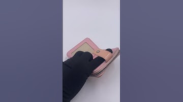 Dior vintage small wallet